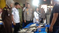 IMG-20260520-WA0043(1)
